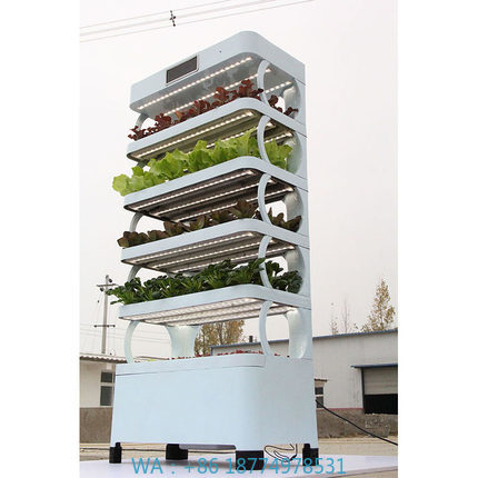 Smart Garden System - arming Home Sistemi di coltivazione idroponica