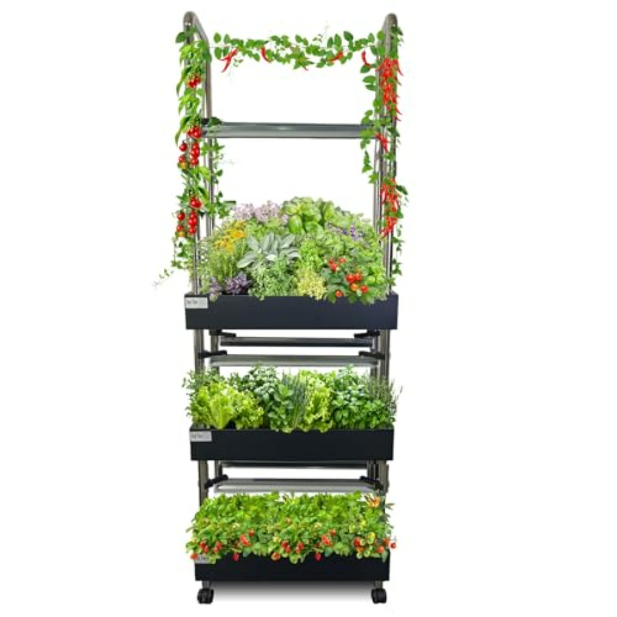 Smart Garden System - Sistema di coltivazione idroponica indoor: giardino
