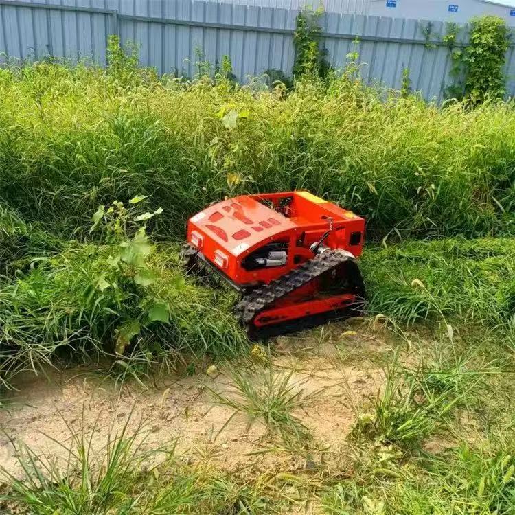 Robot Rasaerba Intelligente Te - Smart Garden Trimmer recensione e prezzo