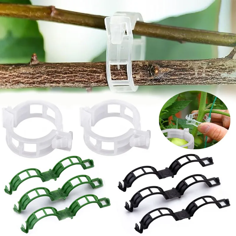 100PCS Pianta Clip di Fissaggi - Smart Garden Furniture recensione e prezzo