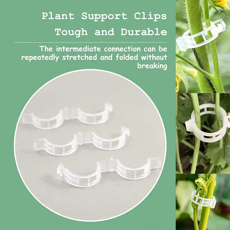100PCS Pianta Clip di Fissaggi - Smart Garden Furniture recensione e prezzo