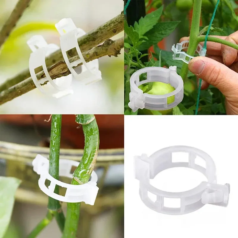 100PCS Pianta Clip di Fissaggi - Smart Garden Furniture recensione e prezzo
