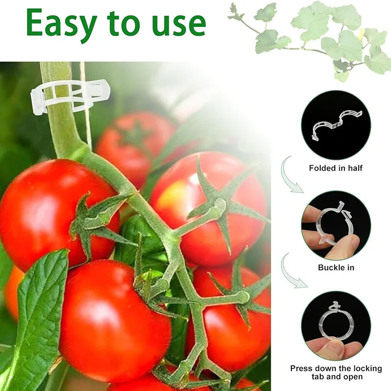 100PCS Pianta Clip di Fissaggi - Smart Garden Furniture recensione e prezzo
