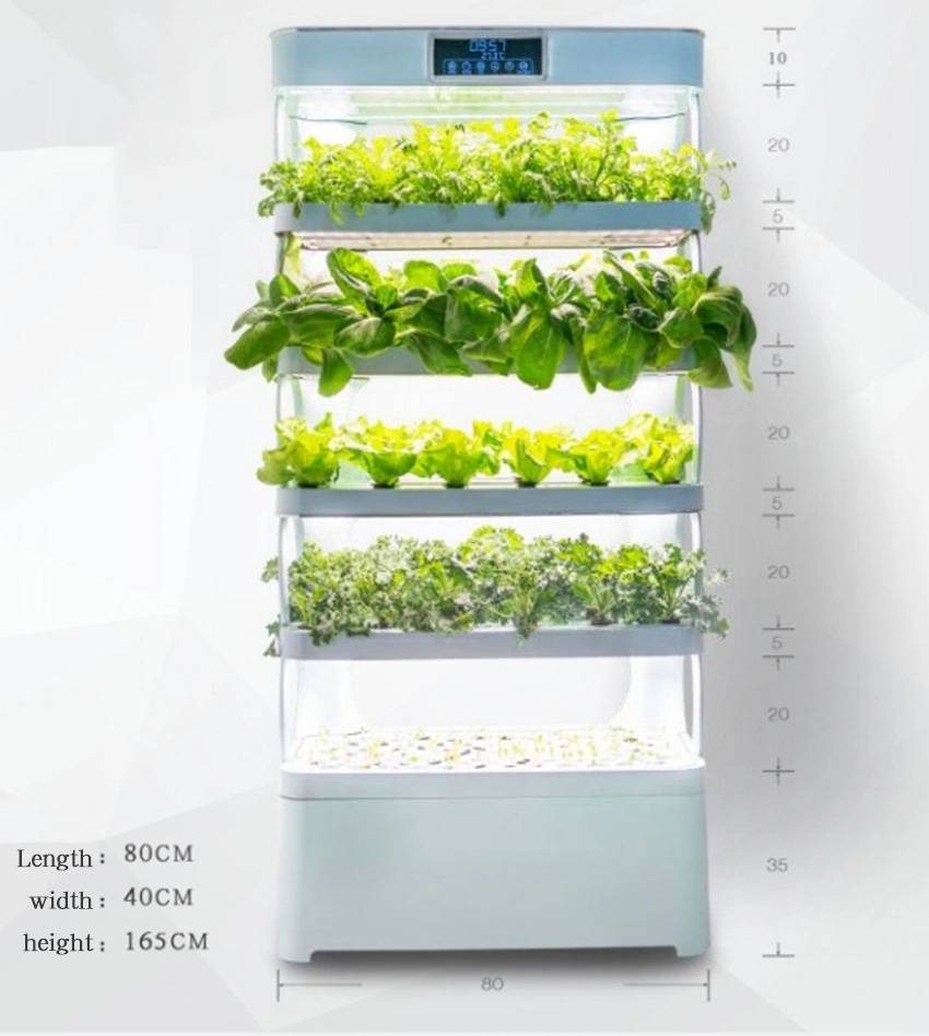 arming Home Sistemi di coltiva - Smart Garden System recensione e prezzo