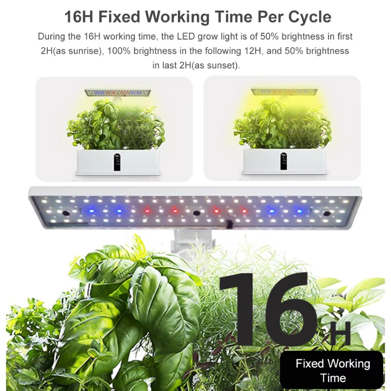 Sistema di Coltivazione Idropo - Smart Garden System recensione e prezzo