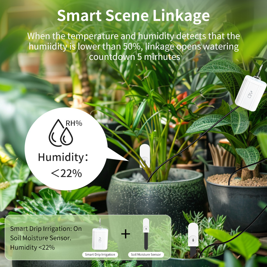 Tester intelligente per il suo - Smart Garden Moisture Sensor recensione e prezzo