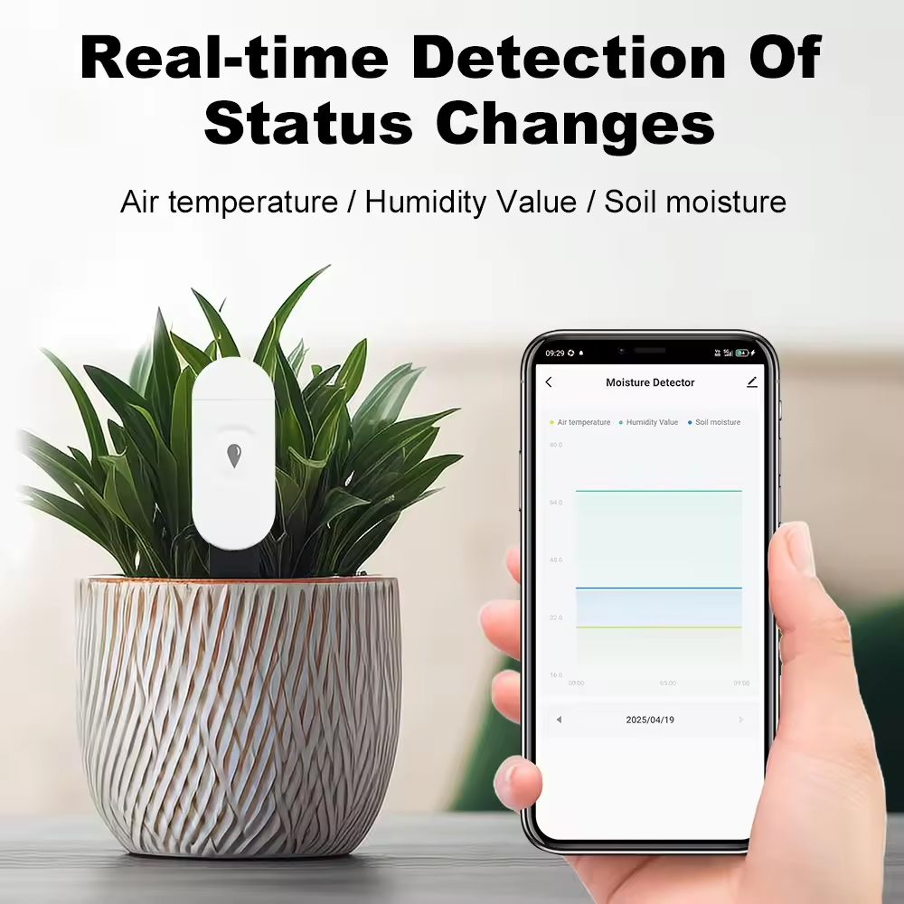 Tuya Zigbee Rilevatore di umid - Smart Garden Moisture Sensor recensione e prezzo