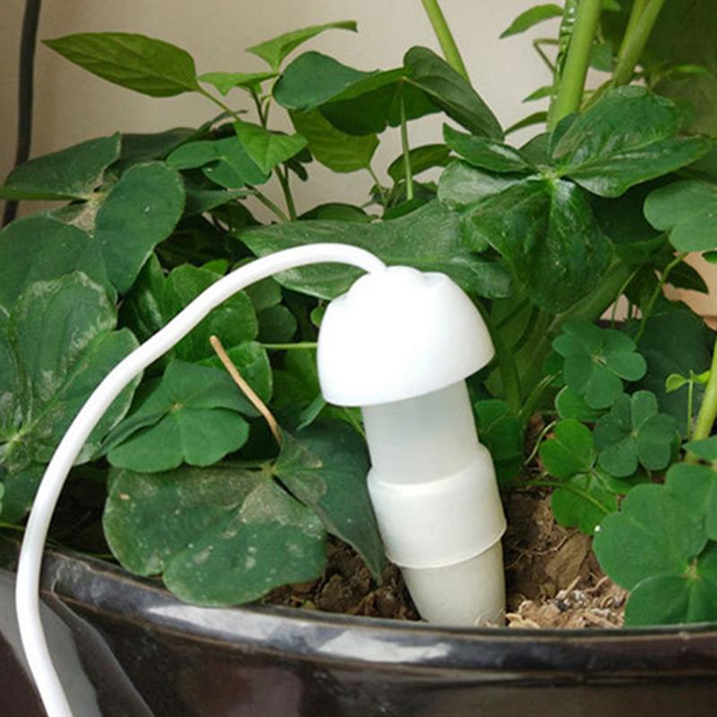 Dispositivo di irrigazione aut - Yoocaa Smart Garden recensione e prezzo