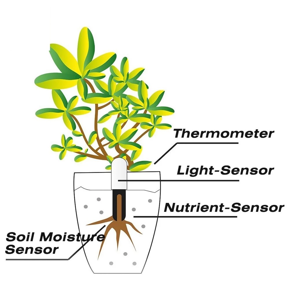 HHCC Fiore Monitor Flora Giard - Smart Garden Products recensione e prezzo