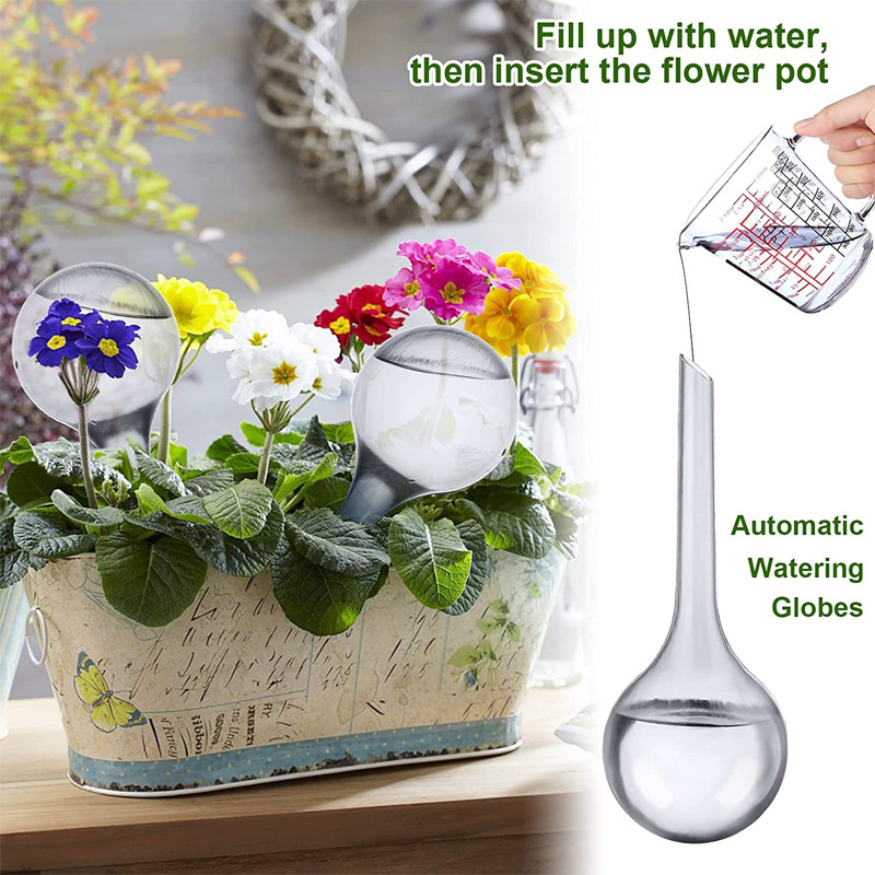 5/10PCS Lampadine per irrigazi - Yoocaa Smart Garden recensione e prezzo