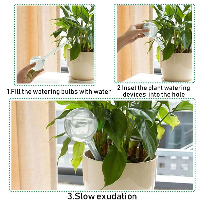 5/10PCS Lampadine per irrigazi - Yoocaa Smart Garden recensione e prezzo
