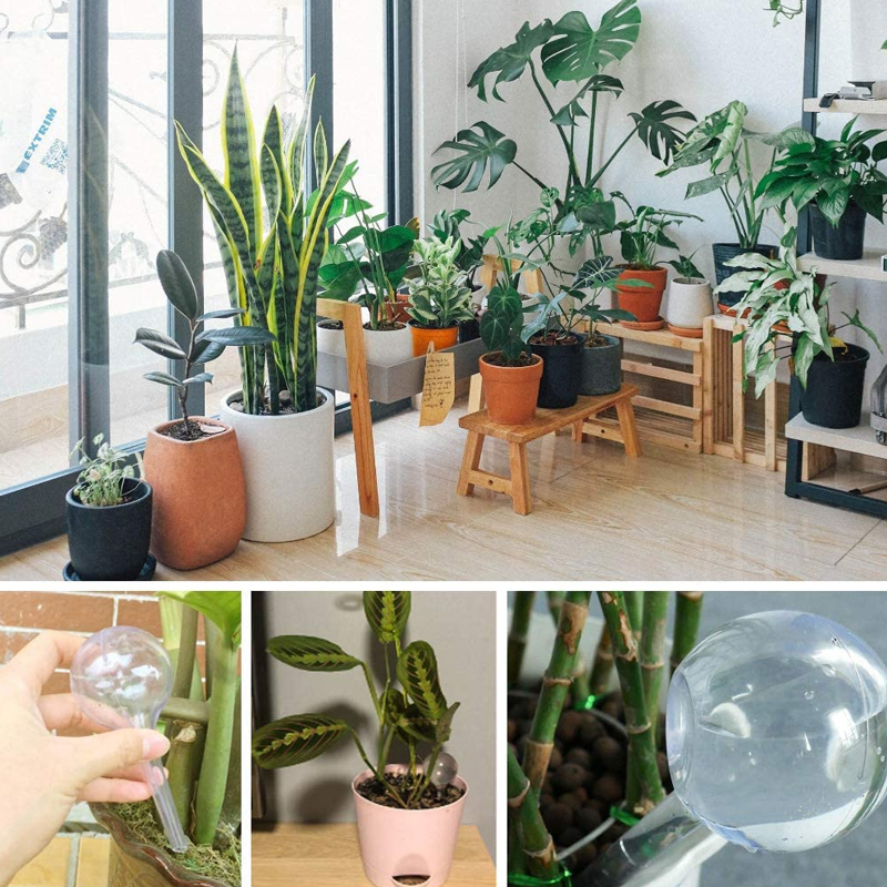 5/10PCS Lampadine per irrigazi - Yoocaa Smart Garden recensione e prezzo
